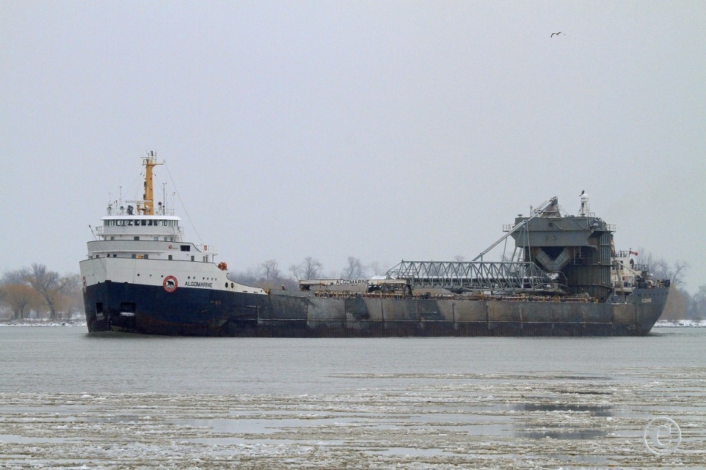 Loaded with wheat for Toledo, The Algomarine is downbound on the Detroit River at Windsor on a snowy December morning. She was built in 1968 as the Lake Manitoba for Carryore Limited by Davie Shipbuilding in Lauzon QC. She was converted to a self-unloader at Port Weller in 1989 for Algoma Central.