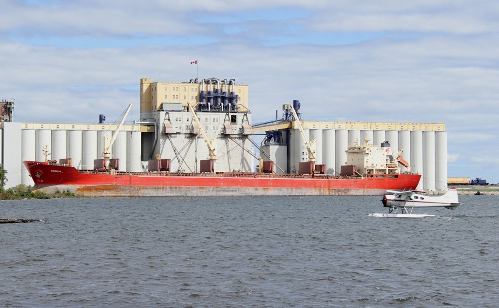 Loading grain at Richardson ; Thunder Bay, Ontario, Canada