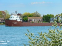 Built in 1952, this fine looking Interlake Steamship Company specimen is downbound on the St. Clair River passing the homes , which to be frank, only have a view of Chemical plants on the other side in Sarnia. At least the blossoms are out making for a pretty scene.