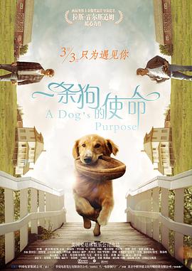 保罗雪莉禁忌3