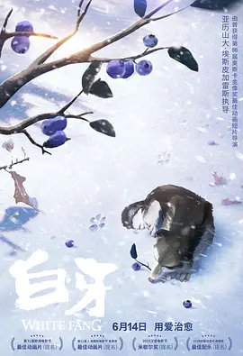 purosangue中文谐音