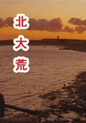 日本韩国欧美在线