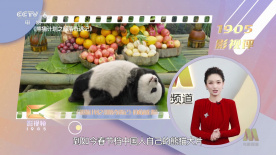 男人和女人搞鸡视频